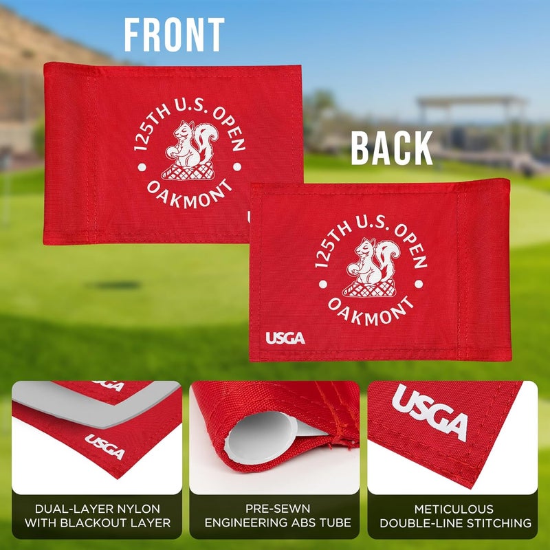 COGOLFING 2025 Themed Mini Golf Flag, 8x6 Inch, Double-Sided Silk-Printed, Durable 420D Nylon, Ideal for Backyard Practice Putting Green - Image 4